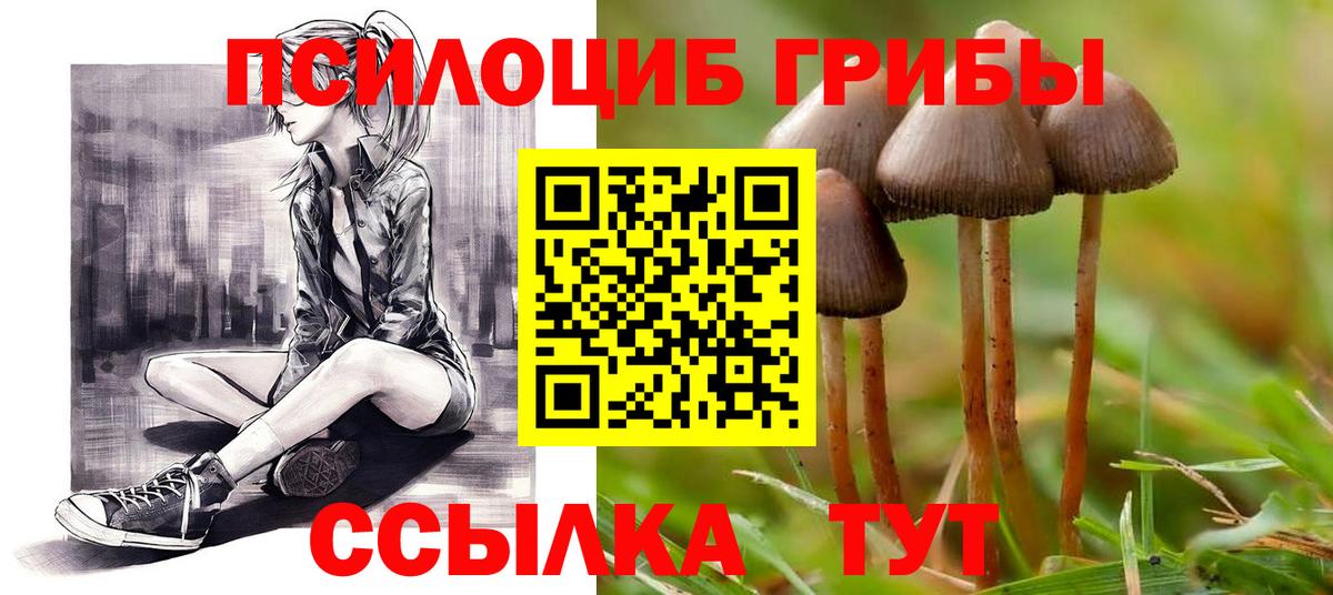 Екатеринбург  Галлюциногенные грибы мицелий  Вход с VPN 